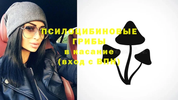 амф Дмитриев