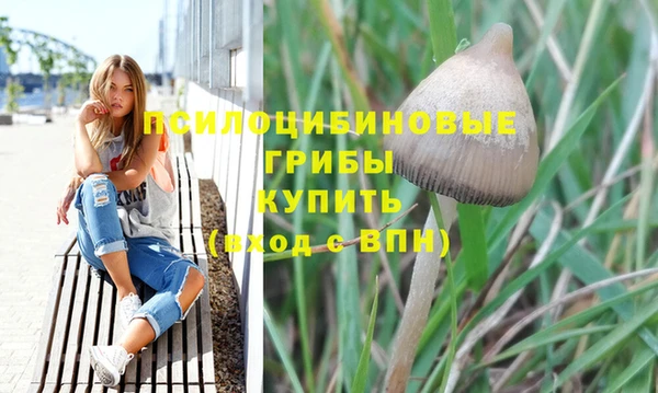 не бодяженный Дмитровск