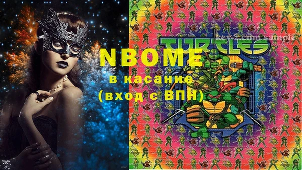 амф Дмитриев