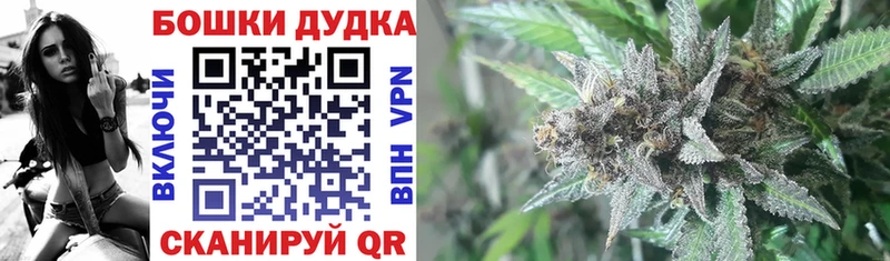 Шишки марихуана семена  Брянск 